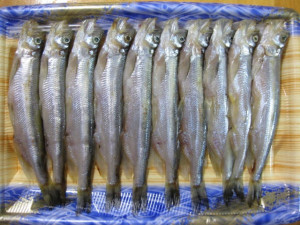 Jadi Makanan Kesukaan Cipung, Ini 5 Manfaat Ikan Shisamo untuk Kecantikan dan Kesehatan